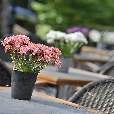 Hotell Parkhotel Mastbosch Breda