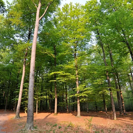 Parkhotel Mastbosch Breda