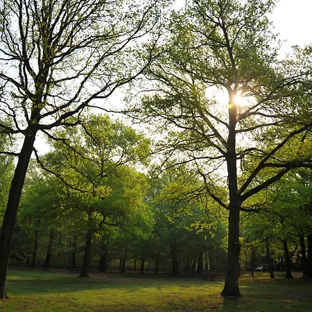 Hotel Parkhotel Mastbosch