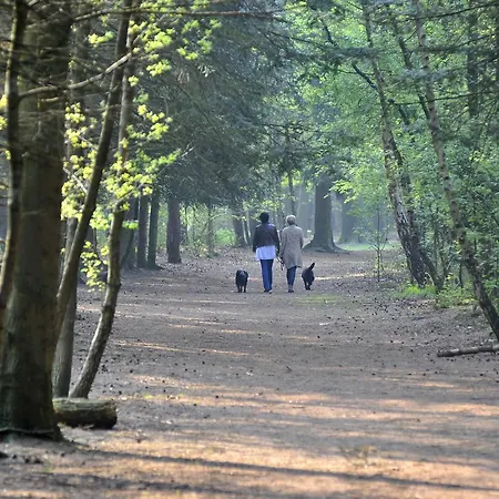 Ξενοδοχείο Parkhotel Mastbosch 4*