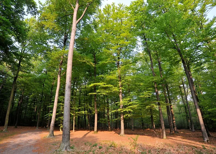 Parkhotel Mastbosch Breda