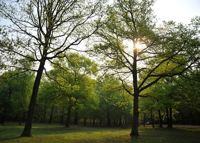 Hotel Parkhotel Mastbosch