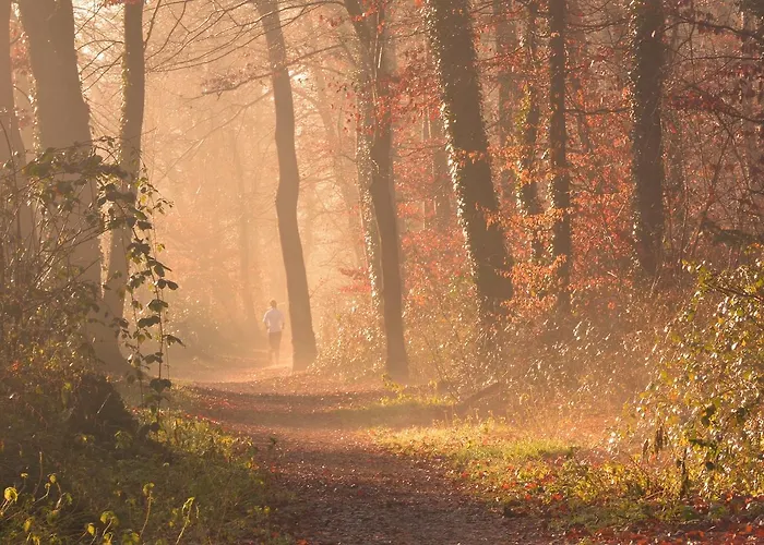 Hotel Parkhotel Mastbosch Breda
