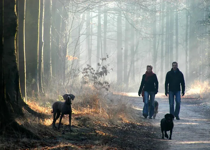 Hotel Parkhotel Mastbosch