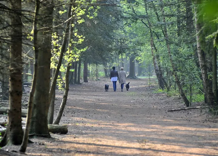 Hotel Parkhotel Mastbosch 4*